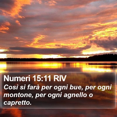 Numeri 15:11 RIV Bible Verse Image