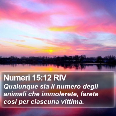Numeri 15:12 RIV Bible Verse Image