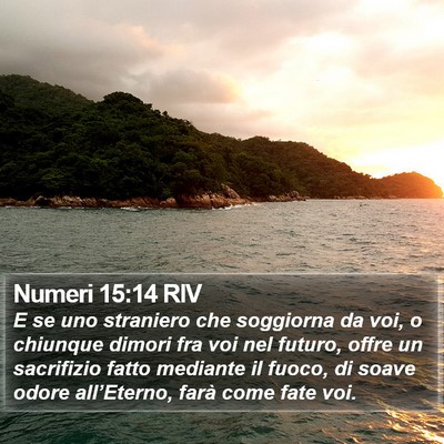 Numeri 15:14 RIV Bible Verse Image