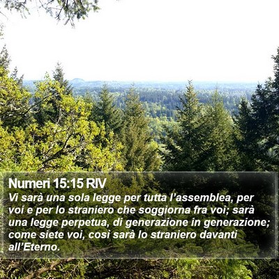 Numeri 15:15 RIV Bible Verse Image