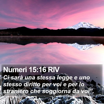 Numeri 15:16 RIV Bible Verse Image