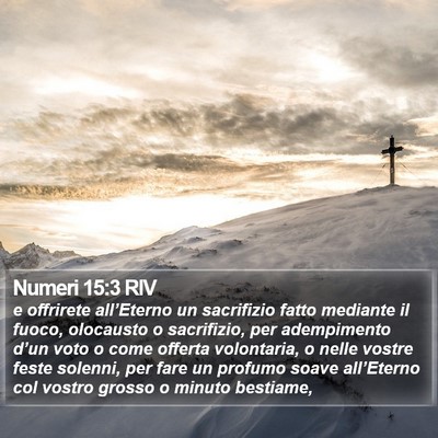 Numeri 15:3 RIV Bible Verse Image