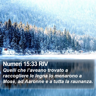 Numeri 15:33 RIV Bible Verse Image