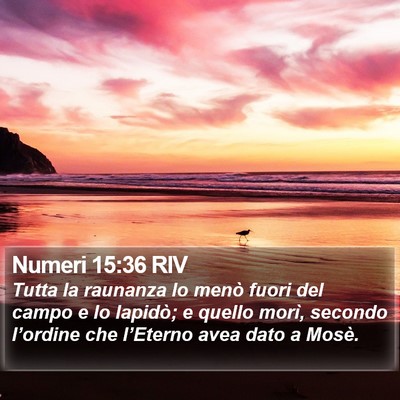 Numeri 15:36 RIV Bible Verse Image