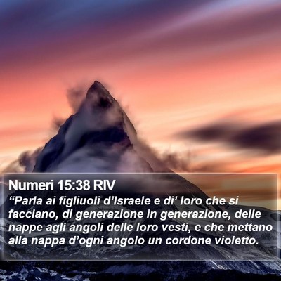 Numeri 15:38 RIV Bible Verse Image