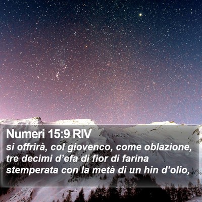 Numeri 15:9 RIV Bible Verse Image