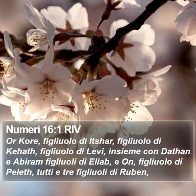 Numeri 16:1 RIV Bible Verse Image