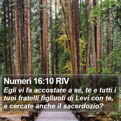 Numeri 16:10 RIV Bible Verse Image