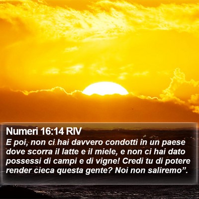 Numeri 16:14 RIV Bible Verse Image