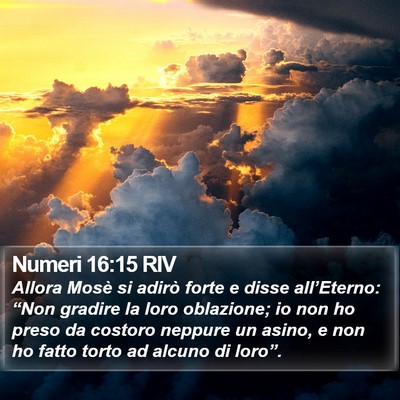 Numeri 16:15 RIV Bible Verse Image