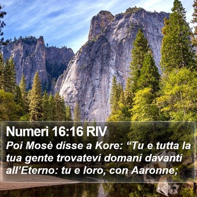 Numeri 16:16 RIV Bible Verse Image
