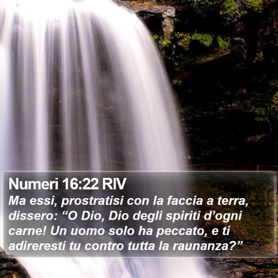 Numeri 16:22 RIV Bible Verse Image