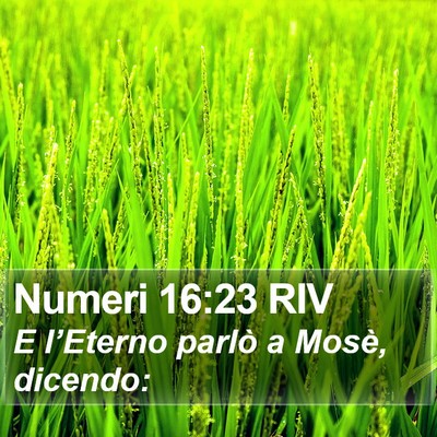 Numeri 16:23 RIV Bible Verse Image