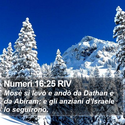 Numeri 16:25 RIV Bible Verse Image