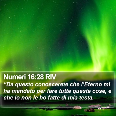 Numeri 16:28 RIV Bible Verse Image