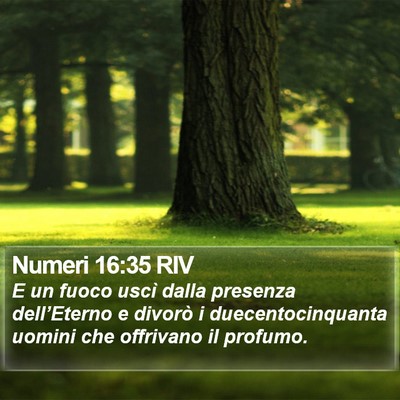 Numeri 16:35 RIV Bible Verse Image