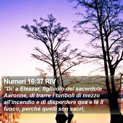 Numeri 16:37 RIV Bible Verse Image