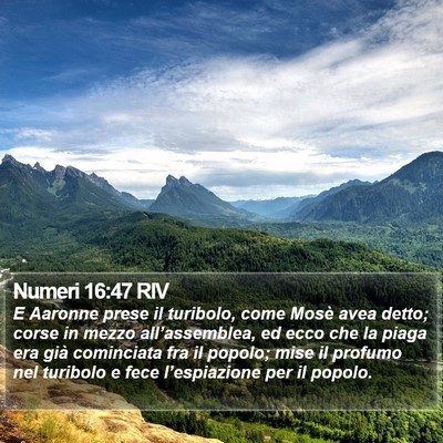 Numeri 16:47 RIV Bible Verse Image