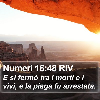 Numeri 16:48 RIV Bible Verse Image