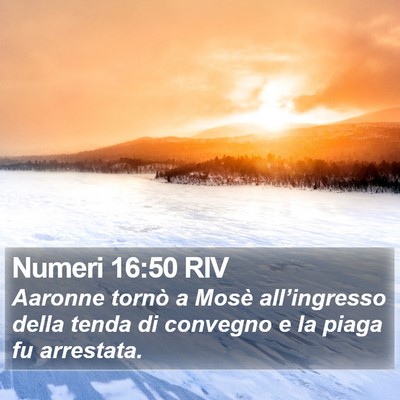 Numeri 16:50 RIV Bible Verse Image