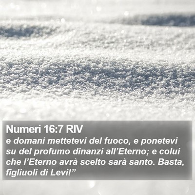 Numeri 16:7 RIV Bible Verse Image
