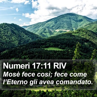 Numeri 17:11 RIV Bible Verse Image