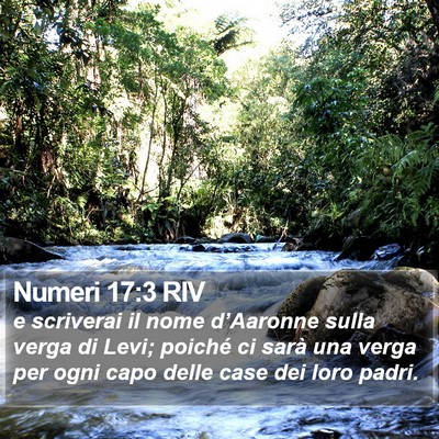 Numeri 17:3 RIV Bible Verse Image
