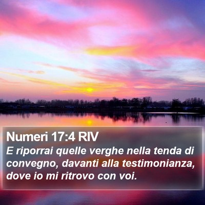 Numeri 17:4 RIV Bible Verse Image