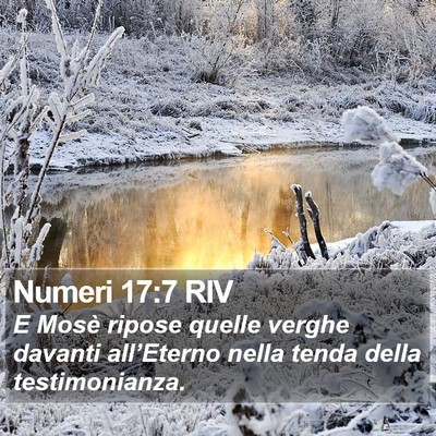 Numeri 17:7 RIV Bible Verse Image