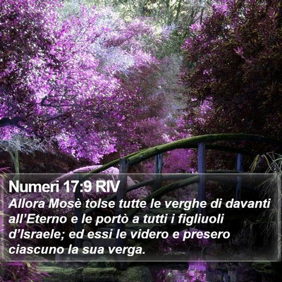 Numeri 17:9 RIV Bible Verse Image