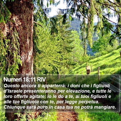 Numeri 18:11 RIV Bible Verse Image