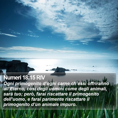 Numeri 18:15 RIV Bible Verse Image