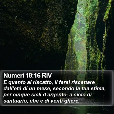 Numeri 18:16 RIV Bible Verse Image
