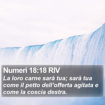 Numeri 18:18 RIV Bible Verse Image