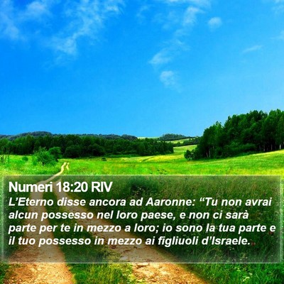 Numeri 18:20 RIV Bible Verse Image