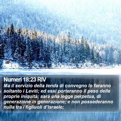 Numeri 18:23 RIV Bible Verse Image