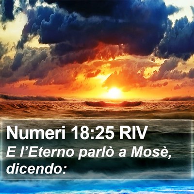 Numeri 18:25 RIV Bible Verse Image