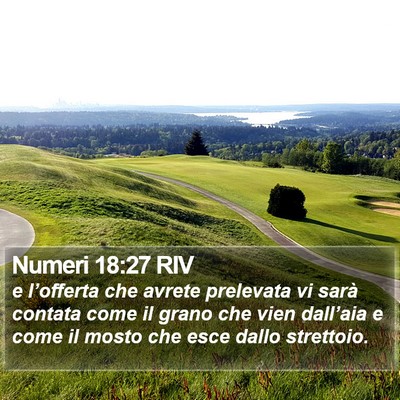 Numeri 18:27 RIV Bible Verse Image