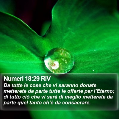 Numeri 18:29 RIV Bible Verse Image