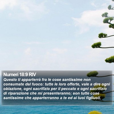 Numeri 18:9 RIV Bible Verse Image