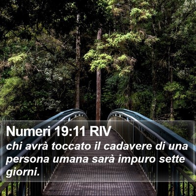 Numeri 19:11 RIV Bible Verse Image