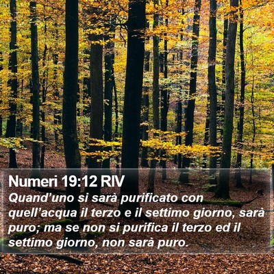 Numeri 19:12 RIV Bible Verse Image