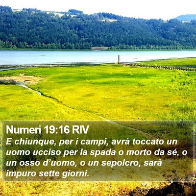 Numeri 19:16 RIV Bible Verse Image