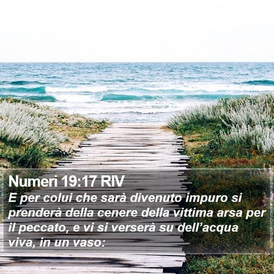 Numeri 19:17 RIV Bible Verse Image