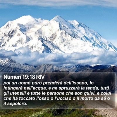 Numeri 19:18 RIV Bible Verse Image