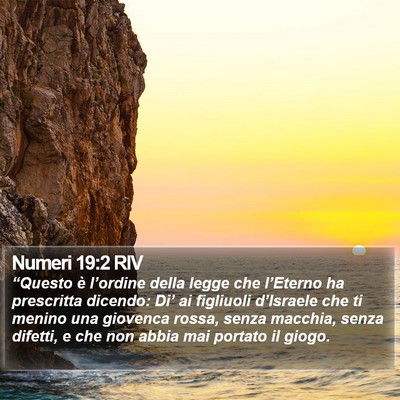 Numeri 19:2 RIV Bible Verse Image