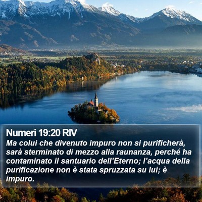 Numeri 19:20 RIV Bible Verse Image