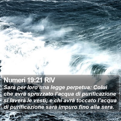 Numeri 19:21 RIV Bible Verse Image