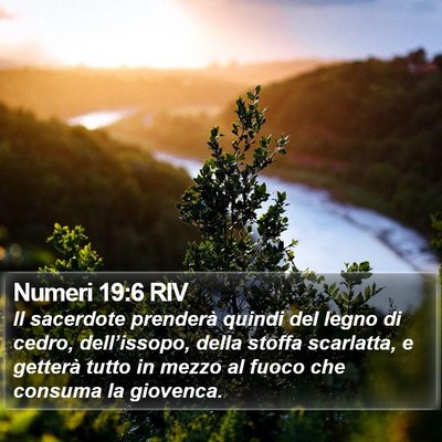 Numeri 19:6 RIV Bible Verse Image