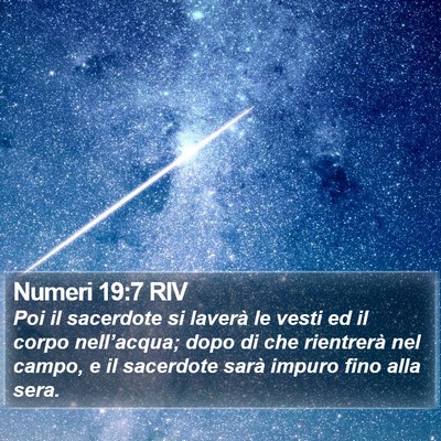 Numeri 19:7 RIV Bible Verse Image